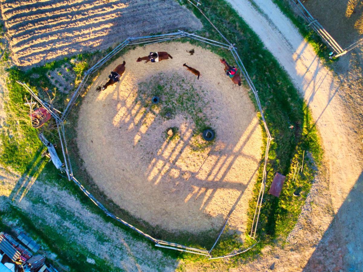 Gospodarstwo Agroturystyczne "Paryja" Olpiny 外观 照片
