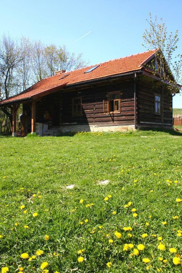Gospodarstwo Agroturystyczne "Paryja" Olpiny 外观 照片
